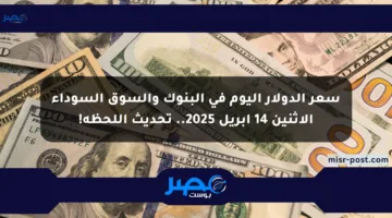 سعر الدولار اليوم في البنوك والسوق السوداء الإثنين 14 أبريل 2025.. تحديث اللحظة!